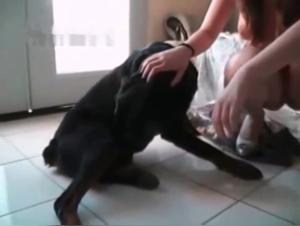 Bestiality Sex Video: Young Girl and Black Dog