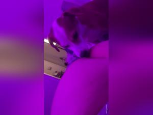 BBW and Dogs: Hardcore Zoophilia Videos