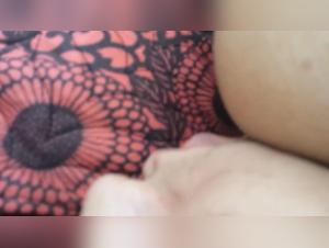 Forbidden Desires: Dog Pornography