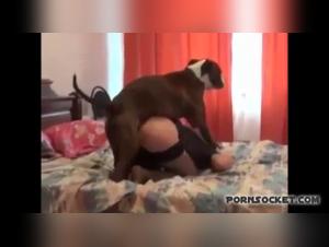 Bestiality sex video with a woman and a dog
