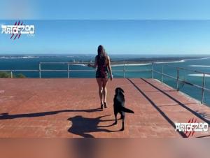 aoz exclusive gta vi