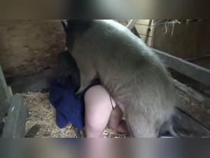 Sexy Cat Fucks Animated Man