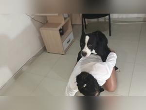 Bestiality Animal: The Sex Slave of Marie