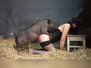 Dogfuck Yasmin: a young woman put to the test with her dog. A horny chick who loves fucking her dogs.