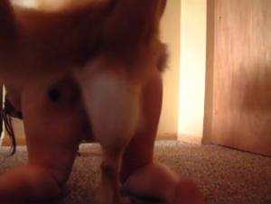 Delicia: A forbidden and intense encounter with a dog