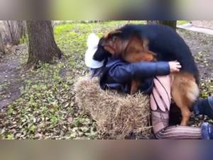 Extreme zoophilia video with a submissive slut and a dog