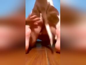 Beastly video: a woman and her dog