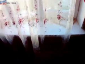 Intimate Video with a Dog