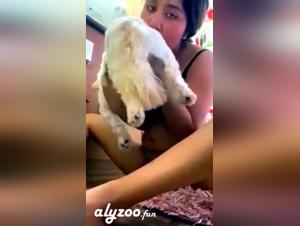 Deseos K9: Explorando lo Extremo