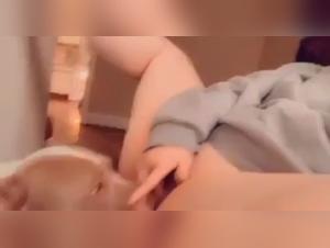 Submissive woman and her dog: a shocking bestiality sex video