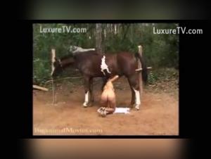 Girl and horse: a beastly encounter