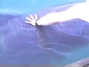 Bestial encounter with a dolphin