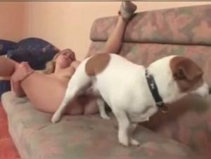 Bestiality: a woman submits to a dog