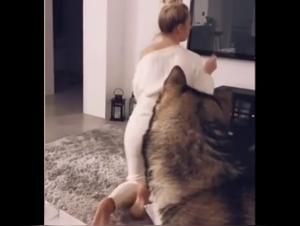 An Intimate Meeting with a Four-Legged Friend