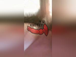 El sexo de la puta y el perro