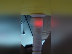 Video Bestiality Zoophilia: Forbidden Intimacy