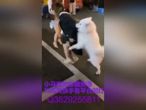 Woman and her dog in a beastly video