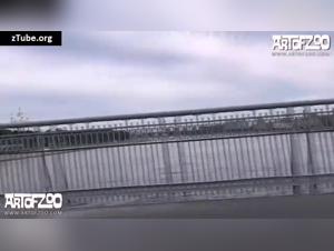 Pasiones Primarias: Arte Zoo y Bestia Canina