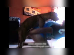 delving into the dark world of zooskool