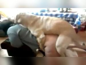 Mature woman and dog: a unique bestiality sex experience