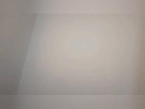 Wild Sluts and the Porno Zoologist Denies Fraizer