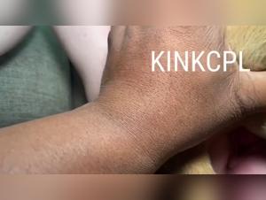 Erotism Animal: A New Era of Sensations