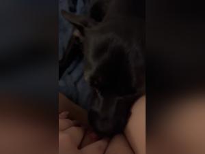 videos zoofilia dogsex amateur