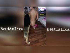 Dog fucking sex: XXX Video Pornzoofinder