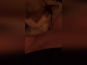 Bestiality sex video with dog