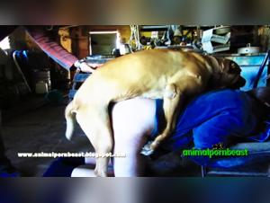 Intimate Encounter with a Dog