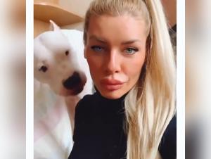 Frau und Hund: eine verbotene Beziehung