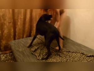 Dog sex video: a young Russian and her dog