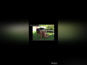 Melodie Bestiale: A Forbidden Encounter