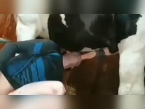 Video of zoophilia with a horse: an intense and shocking scene