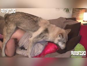 Story of Wolf - Extreme Zoo porn