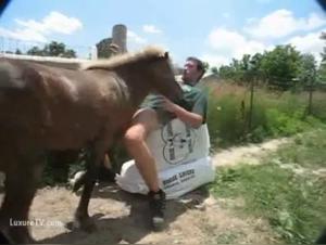 Sexual Encounter with a Horse: An Extreme Experience