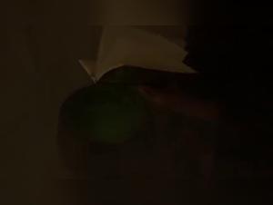 Cat and Dog Sex: Seductive Female Gives Bestiality with Passion