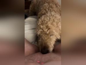 Bestiality sex video: woman and her dog