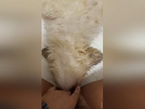 descubriendo el arte del zoo: tentaciones prohibidas