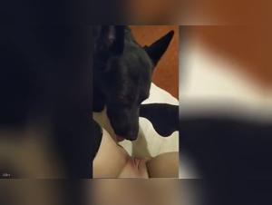 Zoophilia video: a submissive woman gets licked by a dog