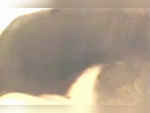 Adorable curvy teen and her dog in intense bestiality scene