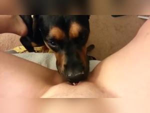 Bestiality with a Dog