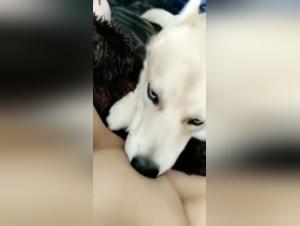 Whitney Wisconsin and her beastly experience