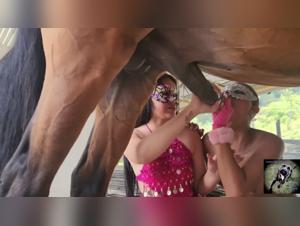 Blurring Lines: Zoophilia and Reality Exposed