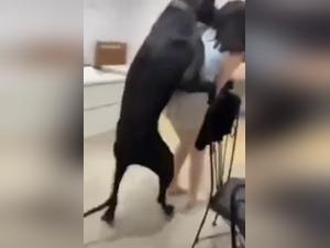 Bestiality Video - An Extreme Experience