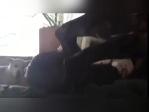 Première Expérience de Sexe avec un Chien - Une Jeune Femme Conquise