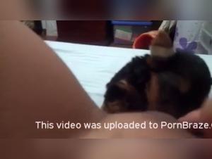 Bestiality: A submissive female dog and a dog in a zoophilia scene