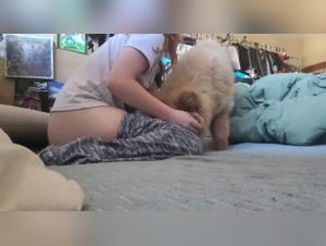 Bestiality sex video: woman and dog