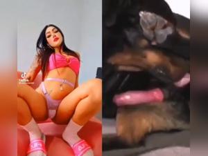 Video of zoophilia: they must taste it 1