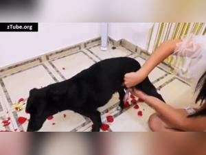 Bestialische Hochzeitsnacht: ein extremes Sexvideo